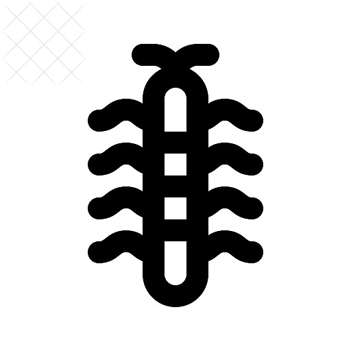Centipede, insects icon.