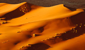 纳米布沙漠-光图片素材