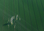 绿色田野上电线杆的鸟瞰图图片素材