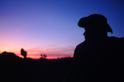 一个牛仔看日落的剪影图片素材