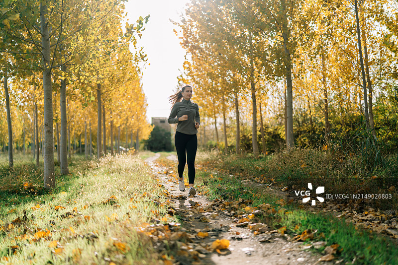 秋天在森林小径上慢跑的妇女的后视图图片素材