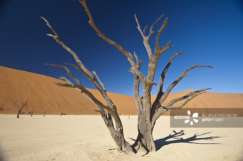 沙丘，索蘇斯韋萊，死谷，納米比亞圖片素材