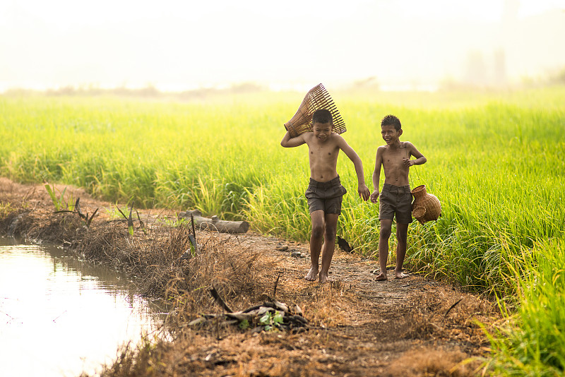 亞洲兒童漁民拿著魚陷阱沿著河邊散步附近的稻田或農業稻田在農村。圖片素材