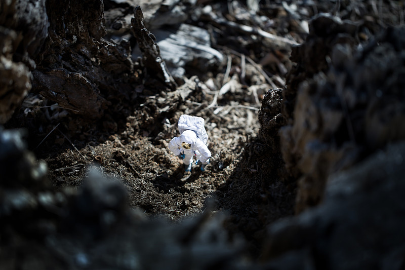 宇航员模型进入树洞洞穴图片下载