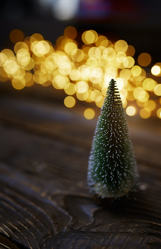 小圣誕樹放在一張木桌上，旁邊是圣誕彩燈圖片素材