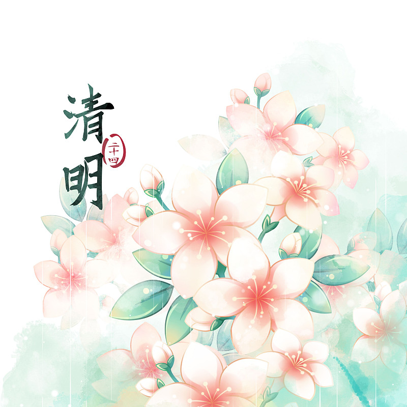 清明節氣——桐花——二十四節氣系列唯美花卉插畫圖片