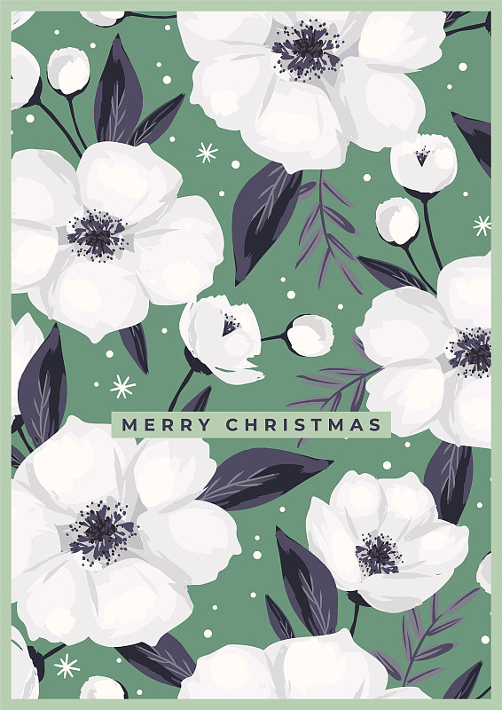 圣誕和新年快樂插圖與白色圣誕花。時尚復古的風格。矢量設計。插畫圖片