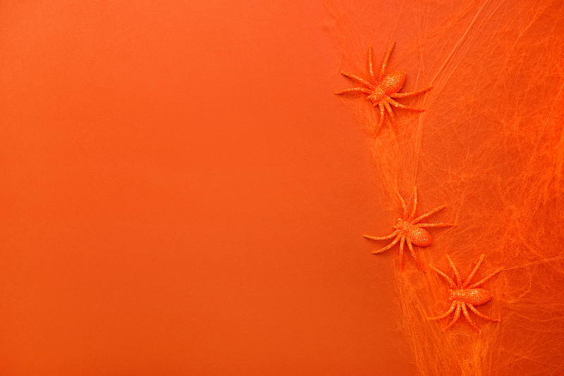 單色背景上的橙色蜘蛛網和閃閃發光的蜘蛛。萬圣節節日裝飾概念?？植篮涂植赖谋尘芭c復制空間為您的設計攝影圖片