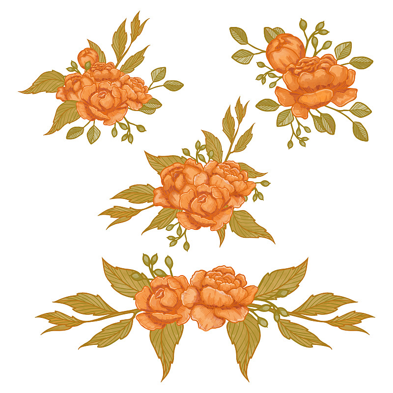一套水彩花，橙色植物剪貼畫插畫圖片