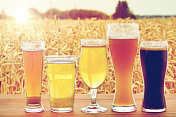啤酒厂，饮料和酒精概念-近距离不同的啤酒在杯子上的桌子在谷物田的背景图片素材