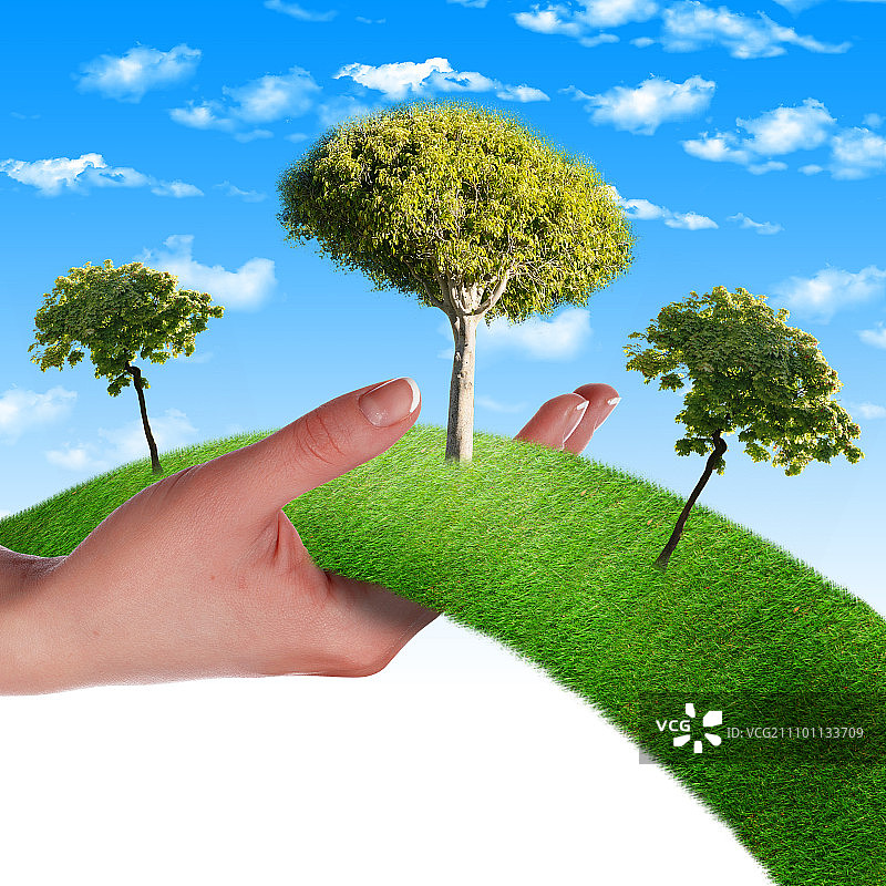 手，一行草，树映衬着蓝天。环保标志图片素材