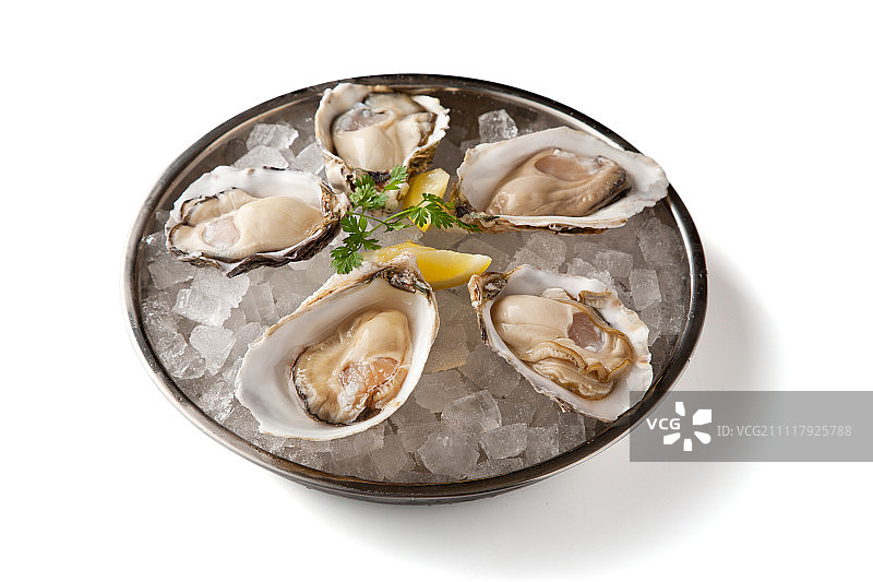 白色背景金属圆盘中放置于冰块上的新鲜带壳牡蛎图片素材
