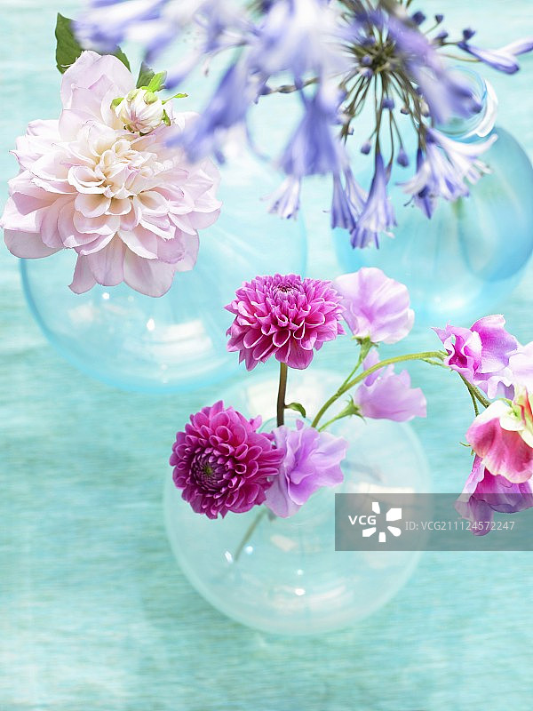 粉彩色彩的花瓶鲜花图片素材