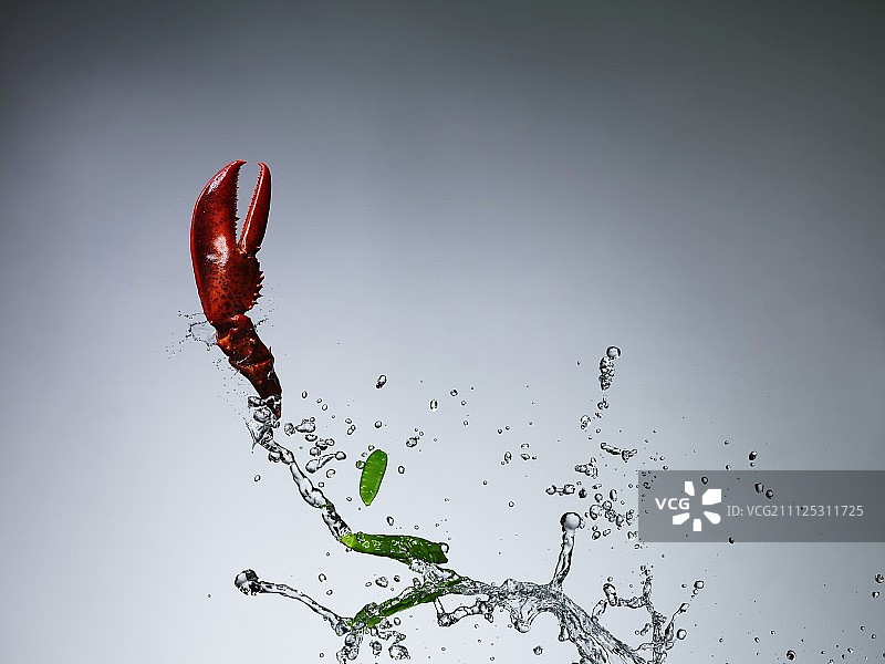 一只龙虾爪和用水泼出的疥疮图片素材