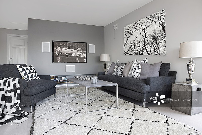 木炭沙发配黑白散垫和小地毯;平板电视和墙上的树木图片图片素材