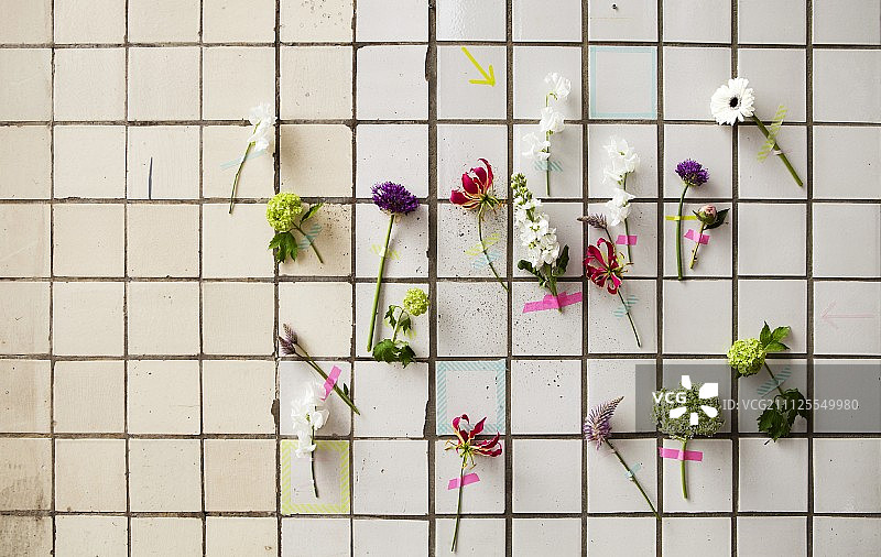 夏天的花用washi胶带粘在瓷砖墙上图片素材