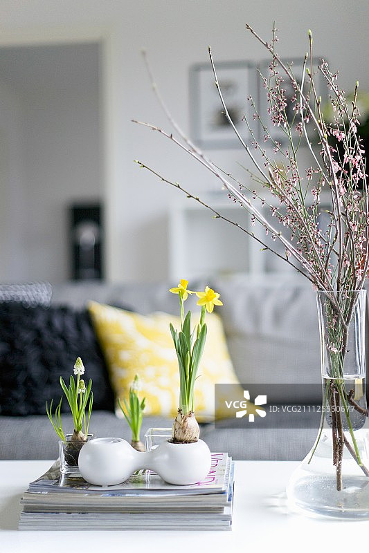 客厅里弥漫着春天的气息——小容器里装着春天的花朵，玻璃花瓶里装着开花的树枝图片素材