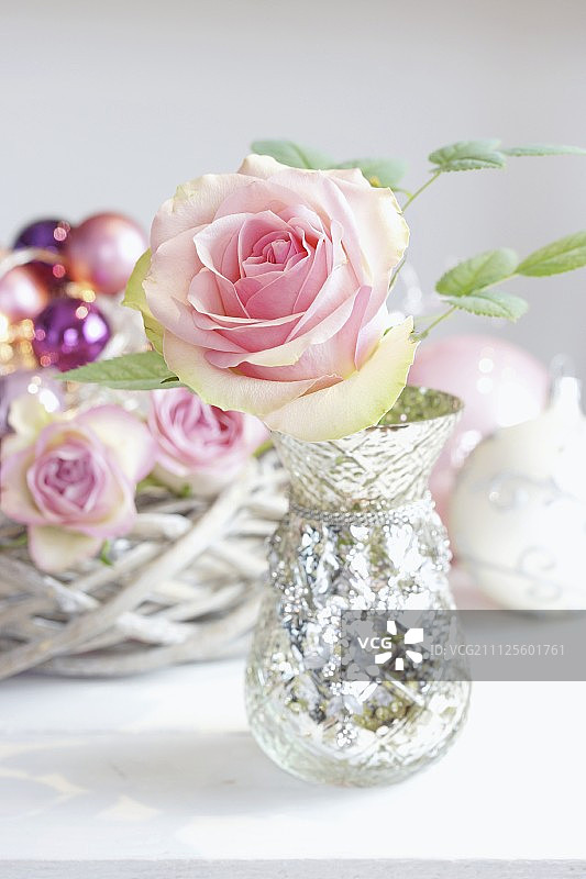 苍白的玫瑰在银质花瓶图片素材