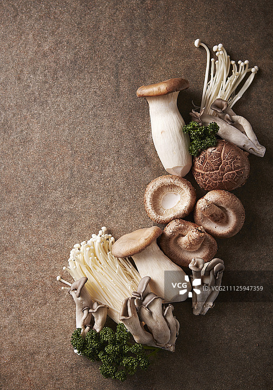 不同种类的蘑菇排列图片素材