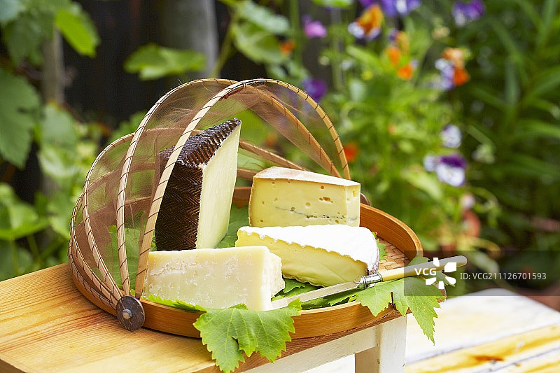 各种各样的奶酪托盘在花园里图片素材