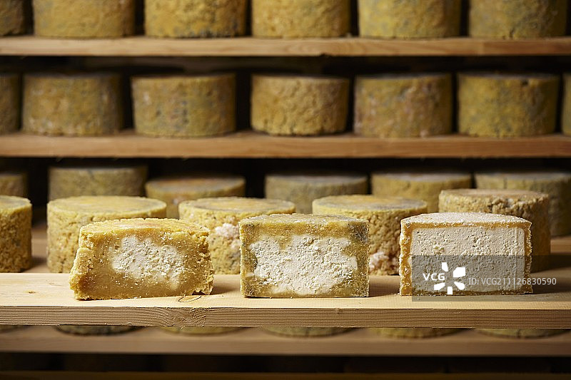提洛尔灰色奶酪在成熟窖中不同阶段的成熟图片素材