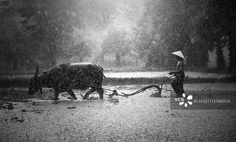 雨中的农夫图片素材