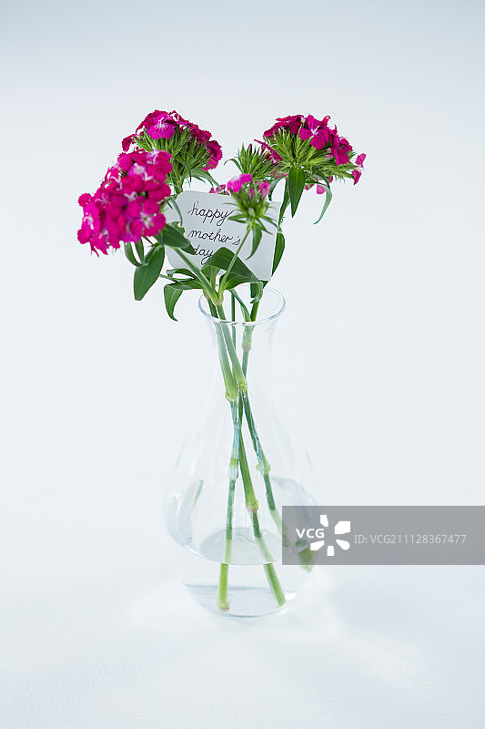一束粉红色玫瑰与快乐的母亲节标签在花瓶在白色的背景图片素材