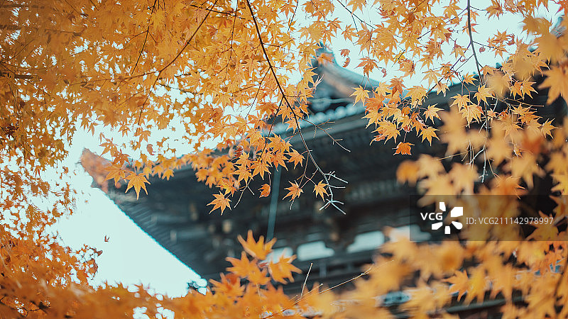 京都秋色图片素材