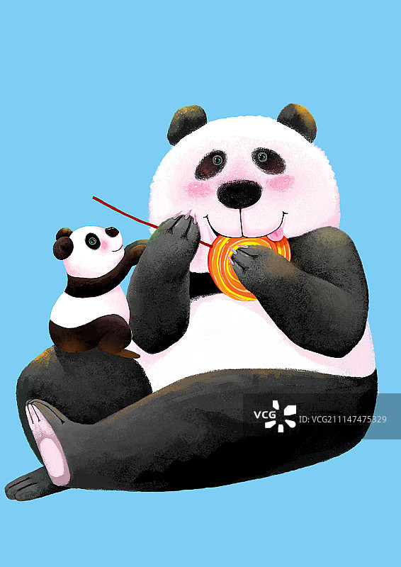 背景分离动物系列组图共3000多幅-大熊猫和小熊猫图片素材