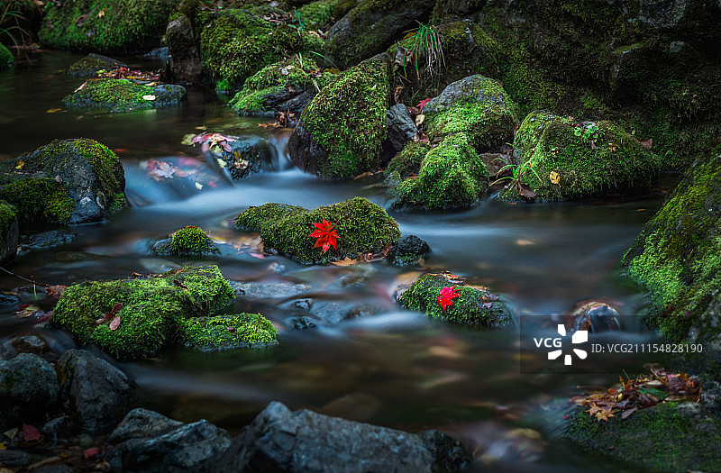 绿石谷的溪流和红叶图片素材