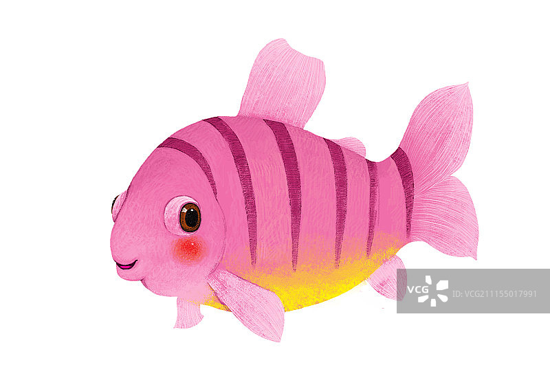 背景分离动物系列组图共3000多幅-粉色条纹鱼图片素材