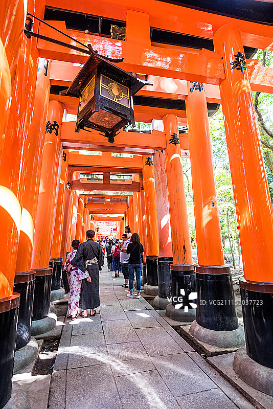 日本京都伏见稻荷神社的千山鸟居图片素材