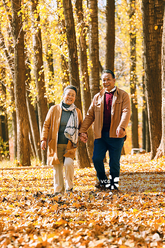 老年夫妇在树林里散步图片素材