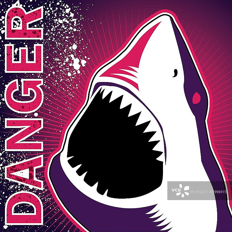 设计横幅与危险的鲨鱼图片素材