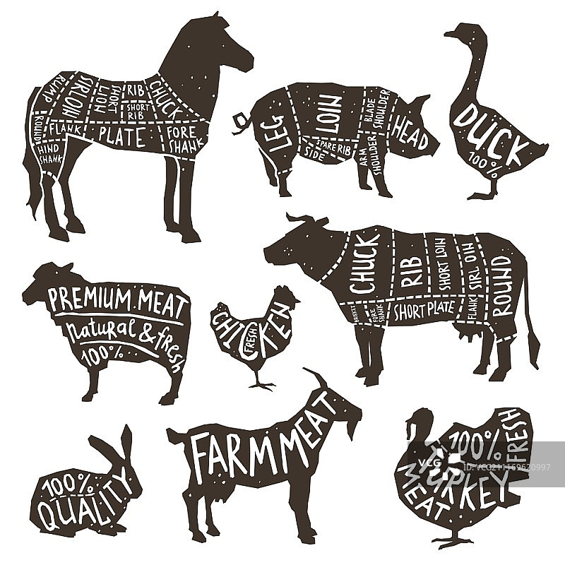 农场动物和家禽剪影图标设置与印刷孤立矢量插图。农场动物剪影排版图片素材