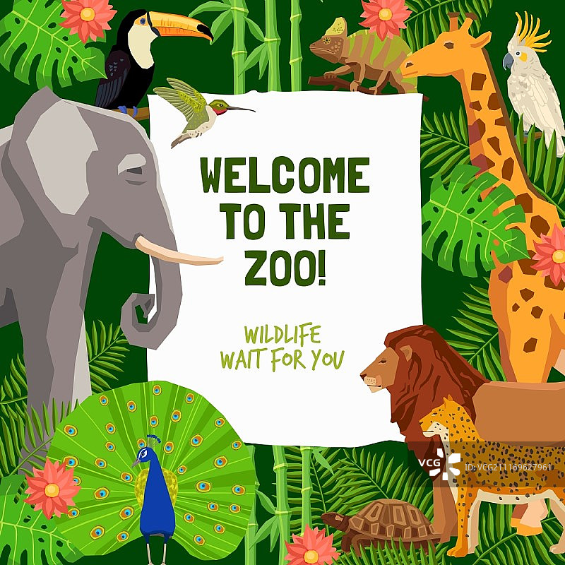 彩色海报邀请参观动物园。彩色海报与热带动物和邀请参观动物园平面矢量插图图片素材