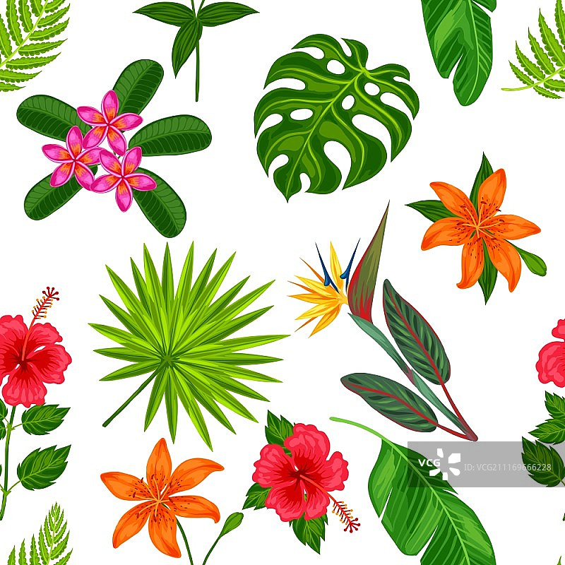 无缝模式与热带植物，叶和花。背景没有剪贴蒙版。易于使用的背景，纺织品，包装纸。图片素材