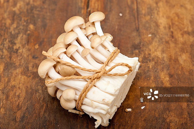 新鲜的野蘑菇图片素材
