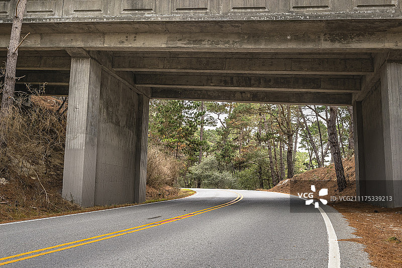 后板显示一个乡村道路桥下和松树在美国图片素材