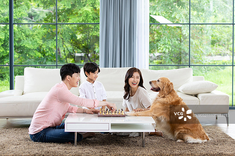 家庭、房子(住宅楼)、宠物、金毛猎犬、在一起、客厅、微笑、棋牌图片素材
