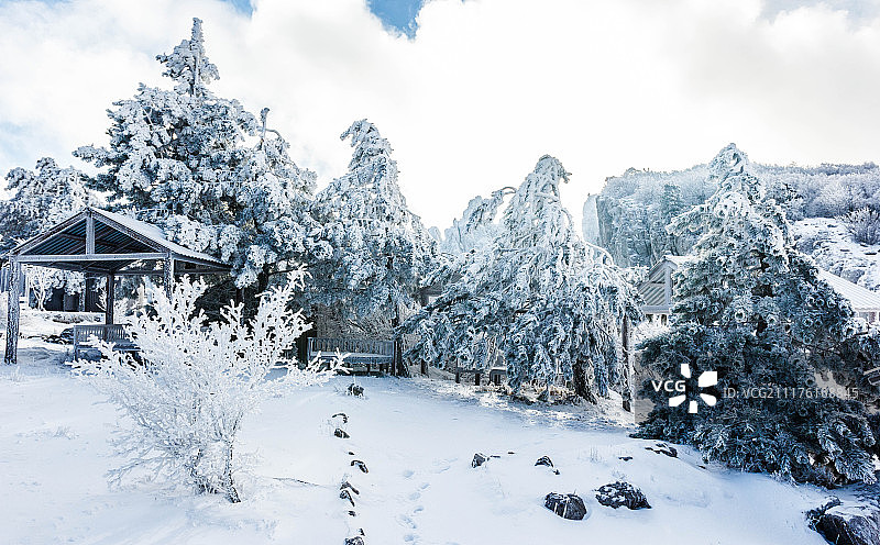 花园里的树木和凉亭都结了霜图片素材