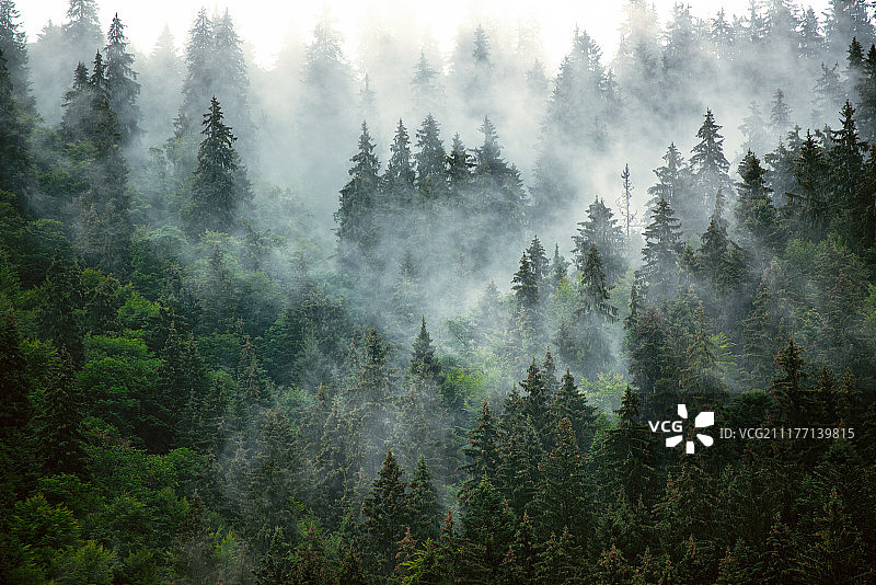 雾山景观图片素材