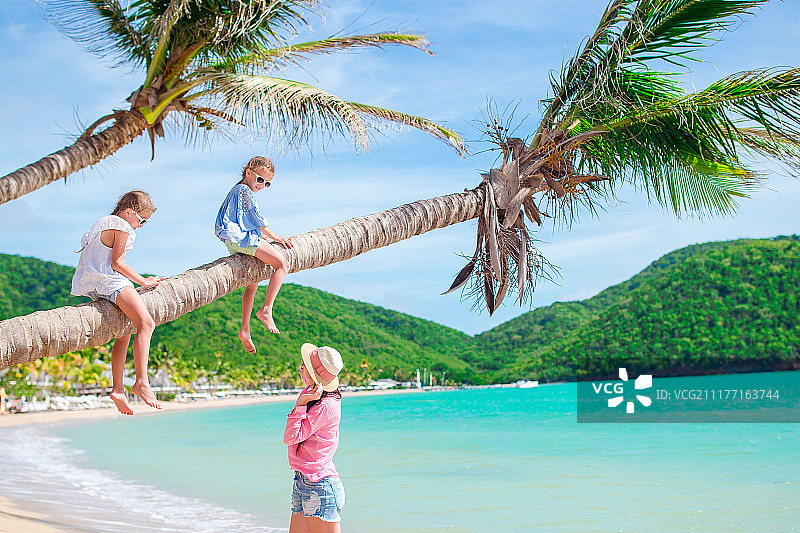 度假的年轻家庭在棕榈树上有很多乐趣图片素材