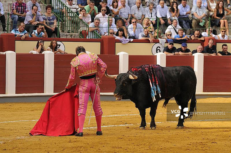 斗牛，斗牛士与刀和刀，斗牛刺穿在斗牛场，'死亡'阶段的斗牛，西班牙，欧洲图片素材