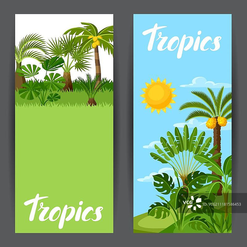 印有热带棕榈树的横幅。奇异的热带植物，丛林自然的插图。印有热带棕榈树的横幅。奇异的热带植物，丛林自然的插图。图片素材