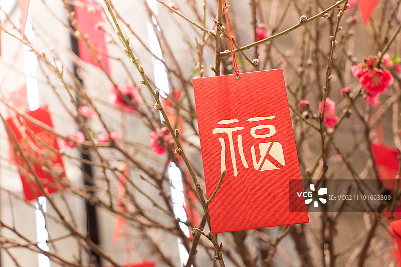 挂在桃花树上的红包利是封图片素材