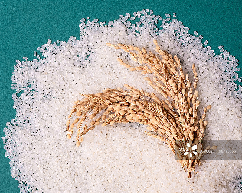 创意大米水稻拍摄图片素材
