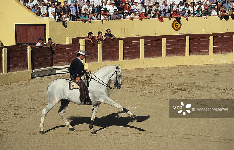 斗牛前西班牙马游行，西班牙，欧洲图片素材