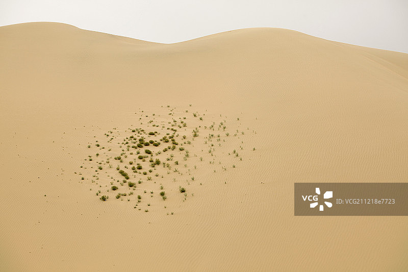 沙漠的纹理图片素材