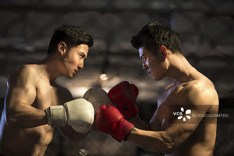 两个青年男拳击手对抗比赛图片素材
